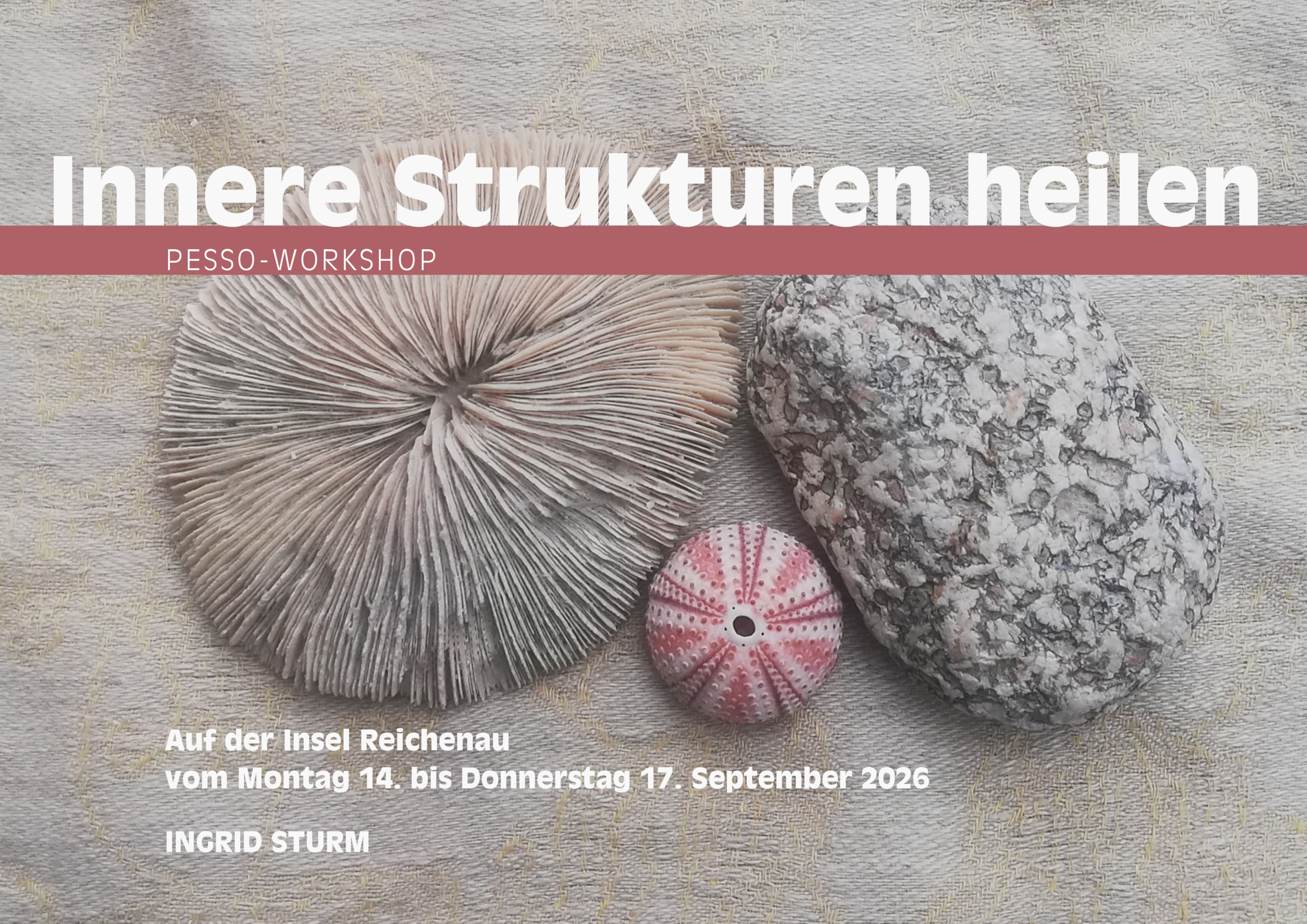 Flyer Reichenau 2026 - Variante 1